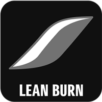 LEAN BURN CONTROL SYSTEM