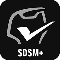 SDSM+