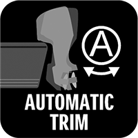 AUTOMATIC TRIM